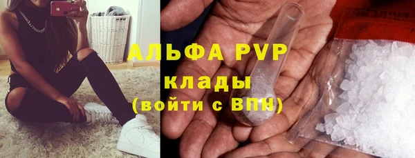 apvp Аркадак