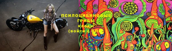 apvp Аркадак