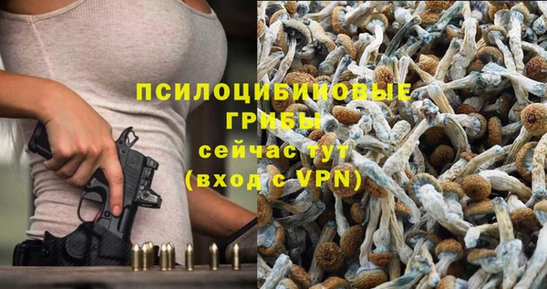 apvp Аркадак