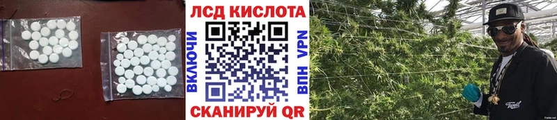 купить закладку  Шадринск  LSD-25 экстази кислота 