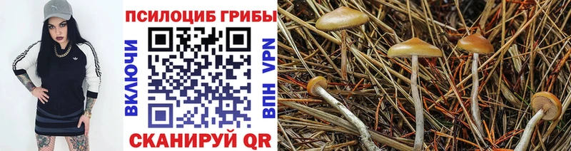 Псилоцибиновые грибы GOLDEN TEACHER  мега как зайти  Шадринск  магазин  наркотиков 